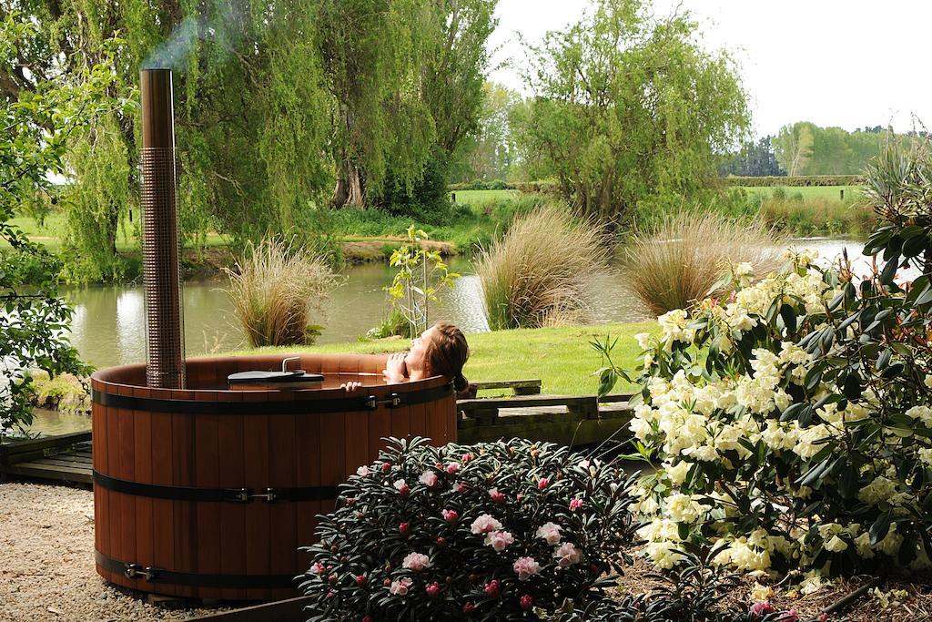 Revive On Oakview Boutique Beauty And Accommodation Ашбертон Номер фото